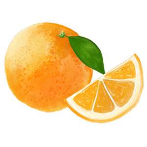 マイクロダイエットお試し