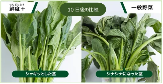 イオンのオンラインマーケット「Green Beans」(グリーンビーンズ)