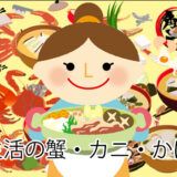 快適生活 カニ通販